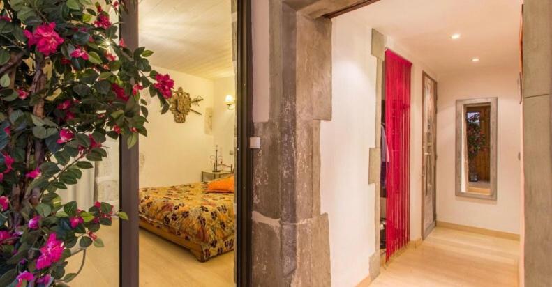 Lodges Du Canal St-Dominique Annecy Dış mekan fotoğraf